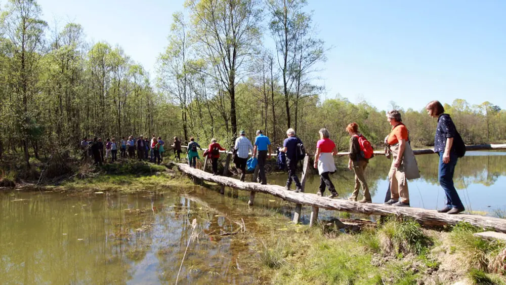 Geführte Wanderung in der Antheringer Au