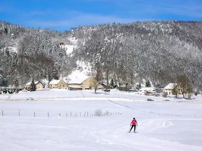 Langläufer auf der Skatingspur © Patafisik via Wikimedia Commons