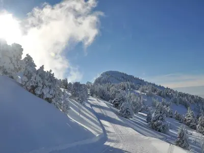 Blick auf die präparierte Piste in Lans-en-Vercors © L. Martin OT Lans en Vercors