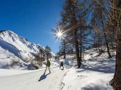 Skater auf einer Loipe © www.bertrand-bodin.com