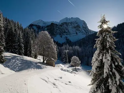 Winterwanderweg mit Hütte zwischen Bäumen © OT St. Jean d'Aulps