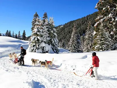 Fahrt mit dem Hundeschlitten in Les Carroz © Monica Dalmasso