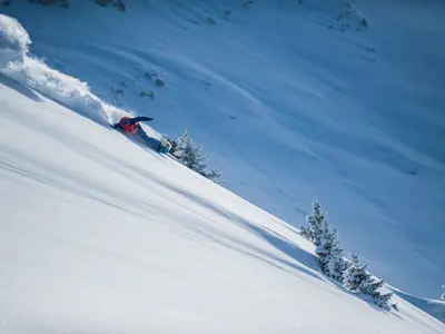 Freeriden im Tiefschnee © paradiski