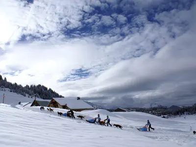 Hundeschlittenfahrt in der Region Praz de Lys Sommand © Praz de Lys Sommand