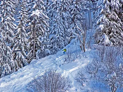Freerider bei der Abfahrt in Arêches Beaufort © Office de Tourisme Arêches-Beaufort