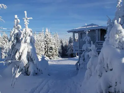 Tiefschneelandschaft am Geisskopf © Geisskopfbahn