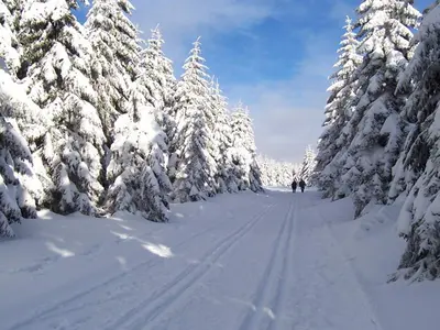 Perfekte Loipen © www.oberhof.de