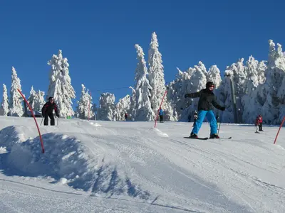 Wellenbahn in Mitterdorf © Familien-Winterland Mitterdorf