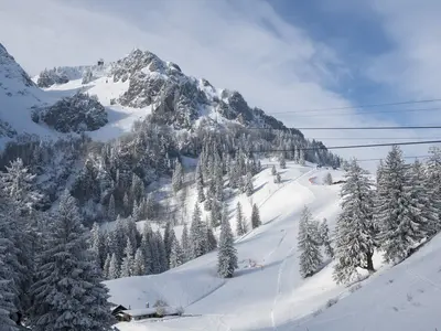 Blick am Hochfelln © Tourismusverbund Bergen-Siegsdorf / Michael Namberger