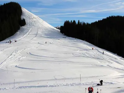 Blick auf die Hörnle-Höhenloipe © Hörnle Schwebebahn