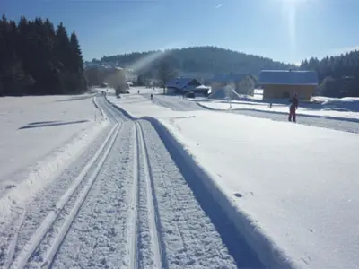 Die Dreikönigsloipe Mauth-Finsterau zählt zu den 10 schönsten Loipen Deutschlands © www.3koenig.info
