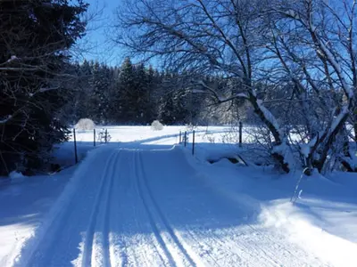 Unterwegs auf den Loipen rund um Mauth-Finsterau © www.3koenig.info