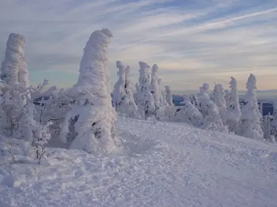 Winter im Bayerischen Wald © Tourist-Info Mauth-Finsterau