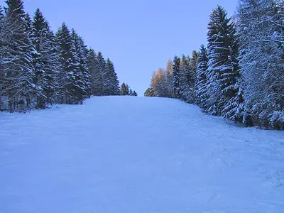 Blick auf die Piste im Morgengrauen © Skizentrum Enzklösterle