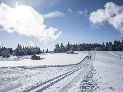 Gespurte Loipe © Hochschwarzwald