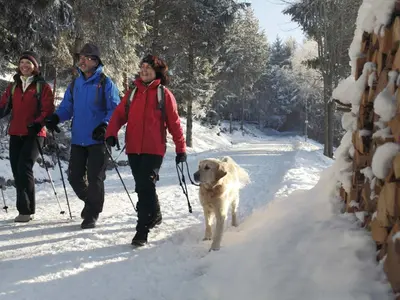 Winterwandern © Hochschwarzwald