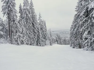 Blick von der Bergstation © Großer Kornberg Betriebs GmbH