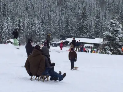 Schlittenfahrer  © Bödelfed-Hunau-Lift