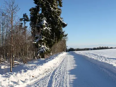 Winterwanderweg © Hochschwarzwald Tourismus GmbH