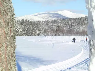 Winterlandschaft © Tourist-Service St. Oswald-Riedlhütte