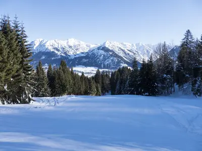 Aussicht über eine Piste am Höllwies © Oberstdorf/Kleinwalsertal Bergbahnen