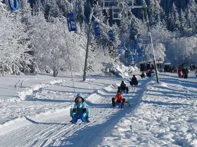 Rodellift © Torfhauslifte