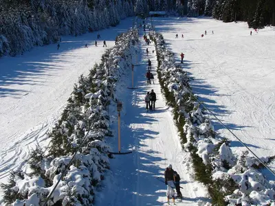 Skifahrer am Schlepplift © Torfhauslifte