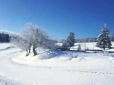 Winter am Kandel © Kandellifte