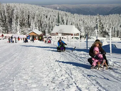 Rodler am Rodellift © Kandellifte