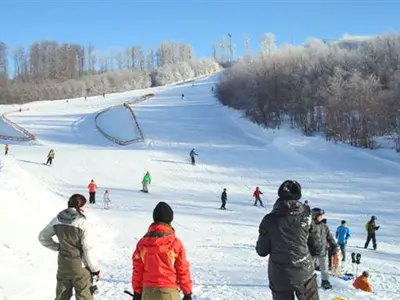 Blick von der Talstation auf zwei Abfahrten im Skigebiet © wintersport-arena.com
