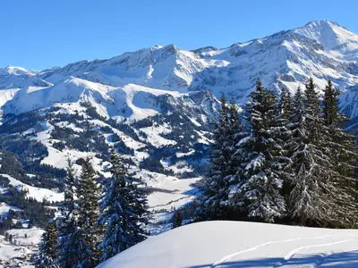 Panorama Wispile bei Gstaad © Gstaad Saanenland Tourismus