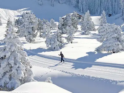 Langläufer auf einer Loipe in Stoos © Stoosbahnen AG, Foto: Roger Betschart