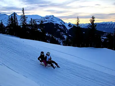 Rodler auf der Axalp © Sportbahnen Axalp Windegg AG