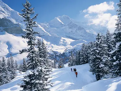 Kleine Scheidegg Arvengarten © Jungfrau Ski Region