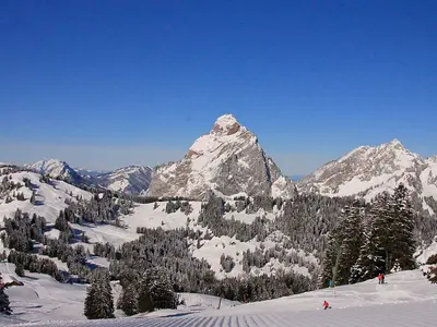 Brunni Holzegg Mythenregion © Mythenregion AG; Ivo Schmidig