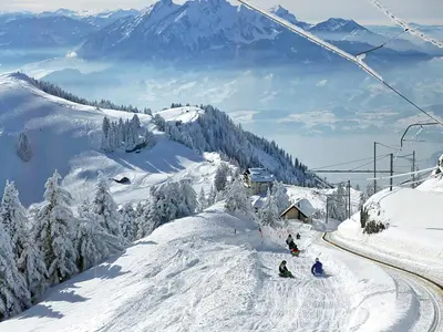 Rodelfun auf der Rigi © Rigi Bahnen AG