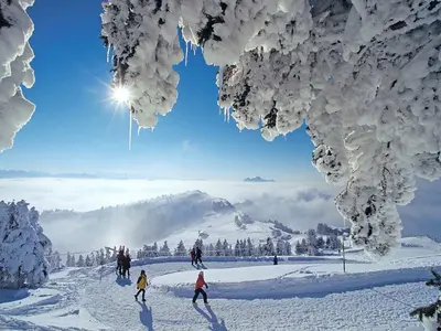 Winterwanderer auf dem Rundweg in Rigi © Rigi Bahnen AG