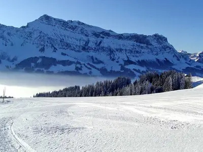 Pistenpanorama im Skigebiet Marbachegg © Marbach Tourismus