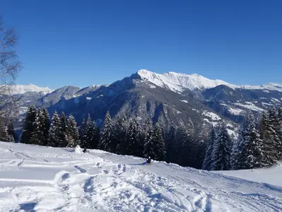 Rodeln in Chur-Brambrüesch © Chur Tourismus