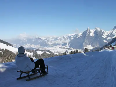 Schlittenfahrt im Skigebiet Moléson © Moléson