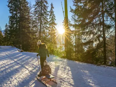Rodler bei einer Schlittelfahrt in Jeizinen © Gampel-Bratsch Tourismus