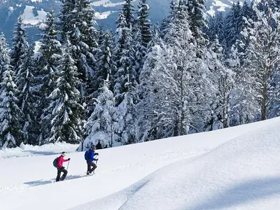 Schneeschuhwandern in St. Johann © Gerdl Franz / St. Johann in Tirol