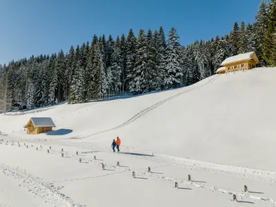 Die Blaa Alm bietet sich hervorragend für Winterwanderungen an. © TVB Ausseerland Salzkammergut / Katrin Kerschbaumer