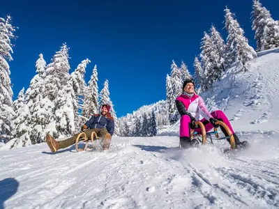 Rodeln am Nassfeld © nassfeld.at / Peter Maier
