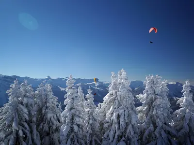 Paragleiter über Andelsbuch © Bergbahnen Andelsbuch