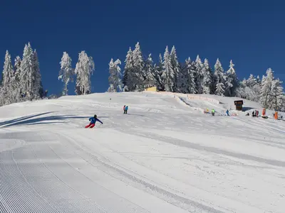 Skifahren am Bödele © Schwarzenberg Tourismus