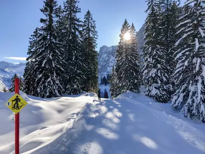 Schneeschuhwanderer in der Region Dachstein West © Dachstein Tourismus AG