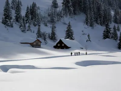 Langlaufen in der Region © Alpenarena Hochhäderich