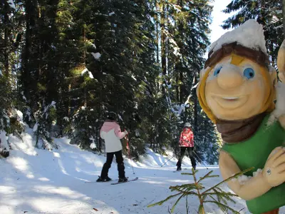 Fichtel im Zauchensee Fichtelland © skigebiet-zauchensee.com