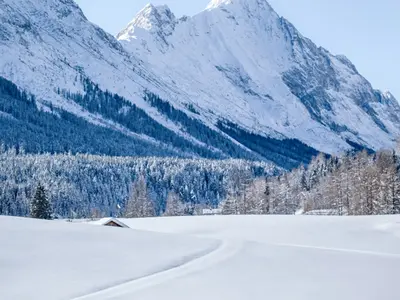 Langläufer bei Leutasch © Olympiaregion Seefeld